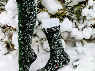 Offre spéciale Noël 